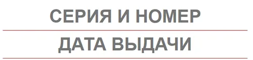 Форма проверки водительского удостоверения на сайте ГИБДД