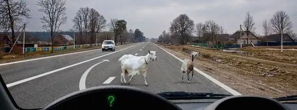 Иллюстрация к вопросу 7